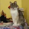 Отзыв от Вика Григорьева